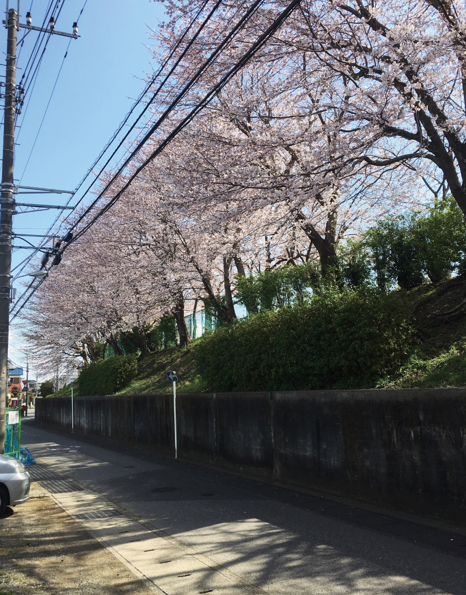 後悔しない土地探し